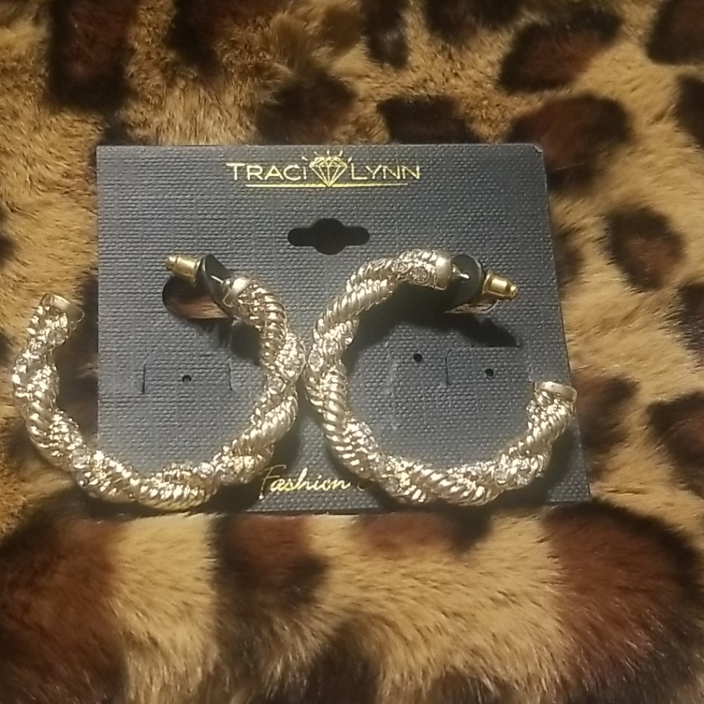 Twisted Up Earrings